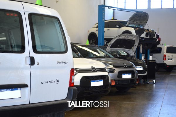 TallerTossi_galeria-02